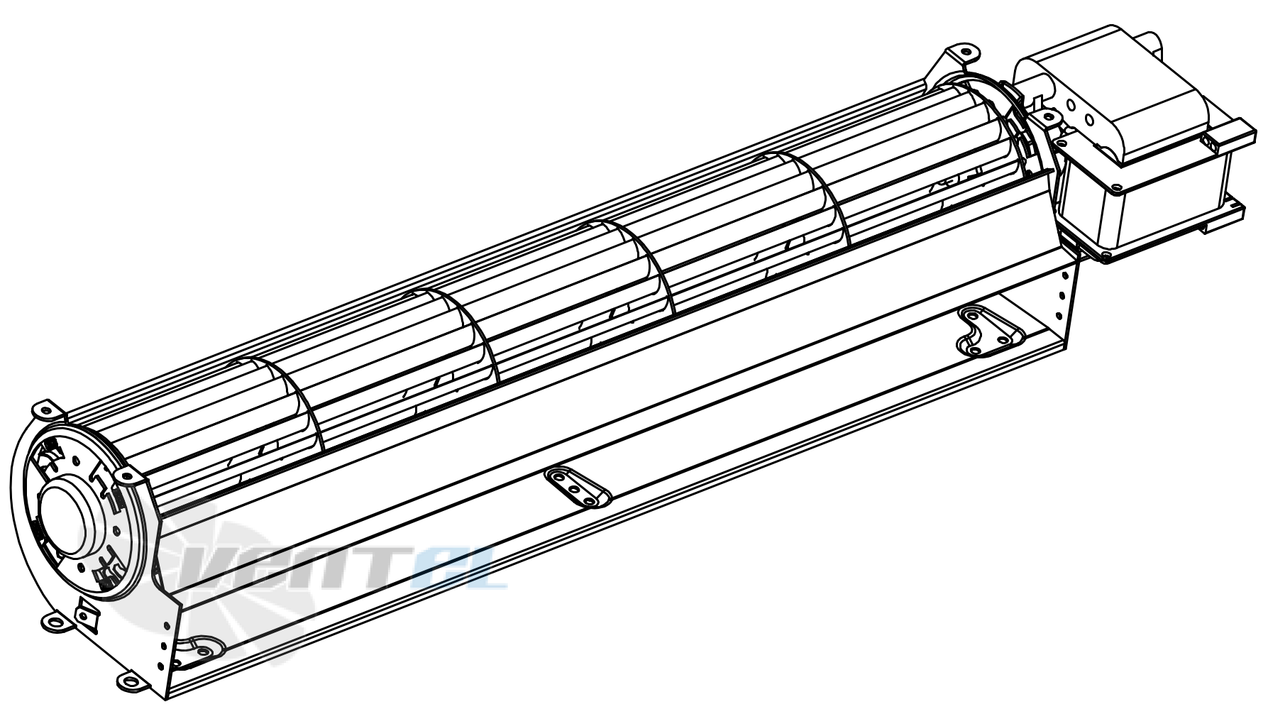 Исполнение и внешний вид