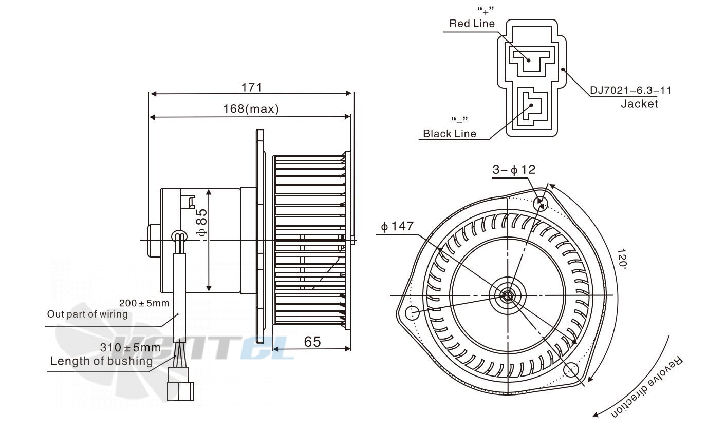 Чертеж и габаритные размеры Linrui ZHF243A